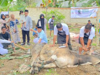 Didampingi Istri tercinta, FPK Berbagi Ribuan Paket Kurban di Konawe